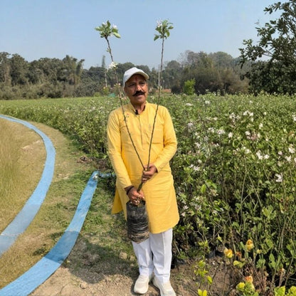 🍎  2 Special Apple Variety (Anna & Dorset) Buy 1 GET 1 FREE