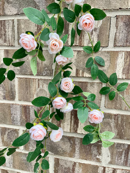 Gulab ki Bel (Climbing Rose Plant) – Khushboo Bhara Garden Beauty